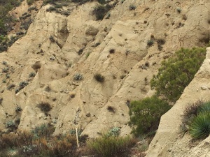 the beauty of erosion patterns on an exposed side of the canyon